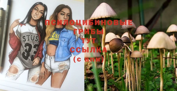 мдпв Абинск
