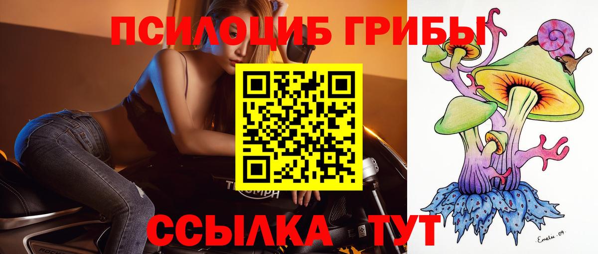 Псилоцибиновые грибы мухоморы  Вход с VPN  Псилоцибиновые грибы Magic Shrooms  Новосибирск 